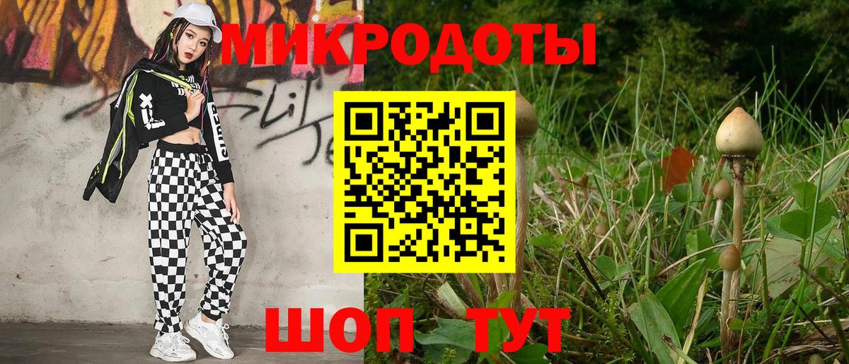 Галлюциногенные грибы Psilocybine cubensis Гусев