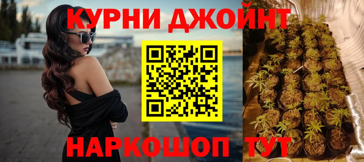Марихуана гибрид Гусев